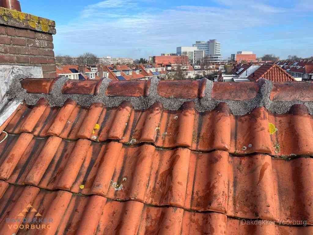 Voorburg Daken Renoveren, Daken Renoveren, Daken, Dakdekker Voorburg, Voorburg Voorburg Daken Renoveren, Daken Renoveren, Daken, Dakdekker Voorburg, Voorburg